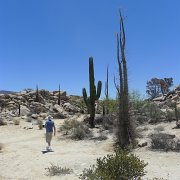Baja2011 1068 : Baja2011
